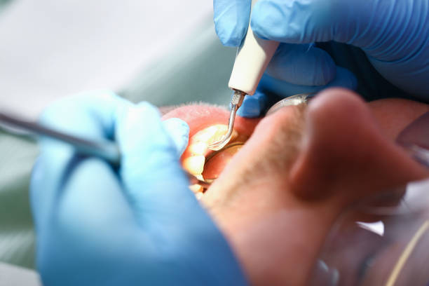 Best Pediatric Emergency Dentist in Red Lake Falls, MN